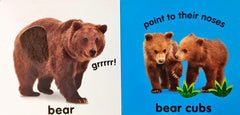 Baby touch and feel Roar Roar