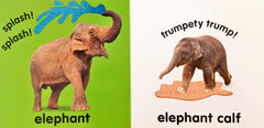 Baby touch and feel Roar Roar