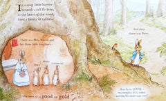 The Tale of a Naughty Little Rabbit