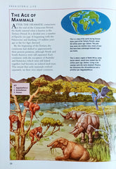 Prehistoric Life