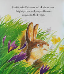 Rabbit's Spring Adventure