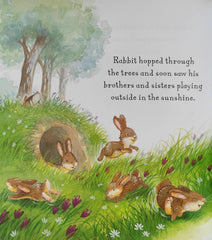 Rabbit's Spring Adventure