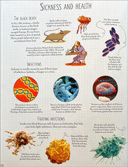 Usborne Human Body Picture Book