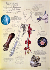 Usborne Human Body Picture Book