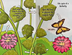 Life Cycles Lift the Flap