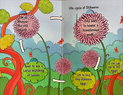 Life Cycles Lift the Flap