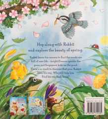 Rabbit's Spring Adventure