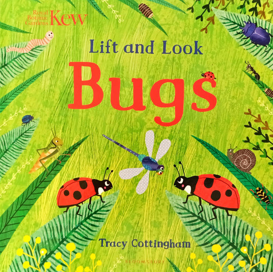 Lift and Look Bugs