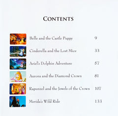 Disney Storybook Collection Princess