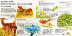 How do animal talk? (Usborne Pocket Science)