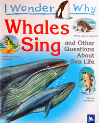 I wonder Why Whales sing
