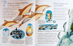 I wonder Why Whales sing