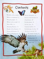 100 facts Rainforests