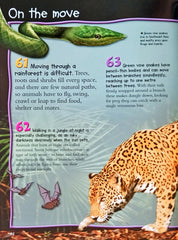 100 facts Rainforests