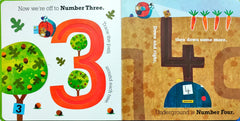Mr Snail's Counting Trails (Flap Book)