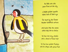 The Bird at the Bottom of the Garden