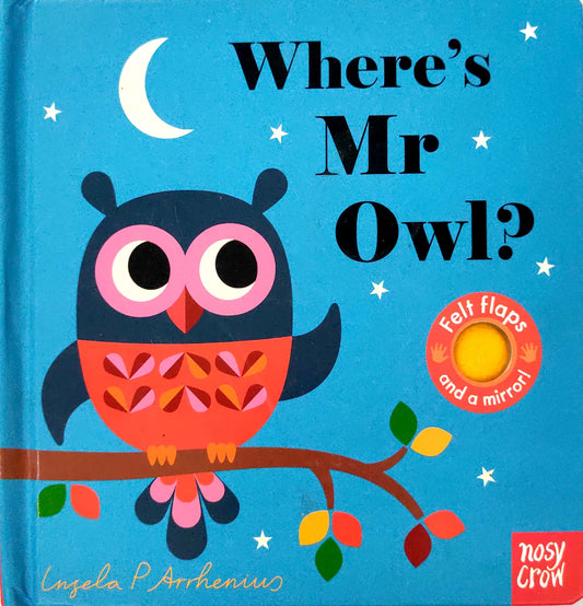 Where's Mr Owl? (Felt Flap)