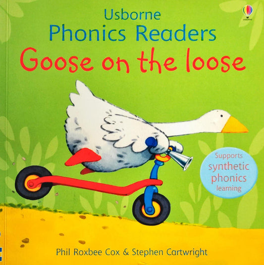 Usborne Phonics Goose On The Loose