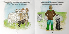 Reedie Lamb Life of a North Ronald say Sheep