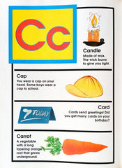 Picture Dictionary for Children