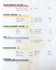 The Body Organs, Body System and Functions
