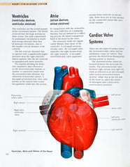 The Body Organs, Body System and Functions