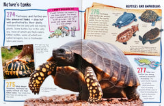 Wild About Animals (Mega Hardcover)