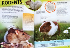 Animal Encyclopedia