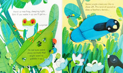 Usborne Peep inside the Jungle