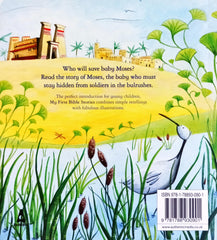 Moses in the Bulrushes