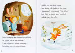 The giant snowball mystery (Reading Champion)