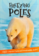 Freezing Poles