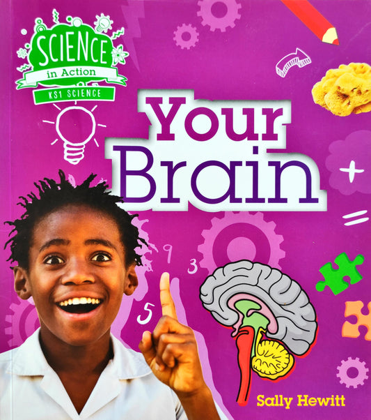 Your Brain