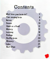 Your Brain