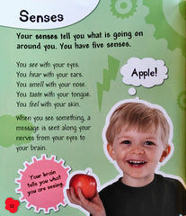 Your Brain