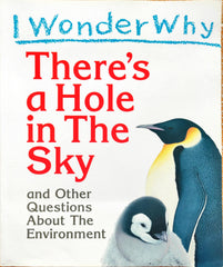 There's hole in the Sky (I wonder Why)
