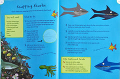 The Snail on the whale make and do Book