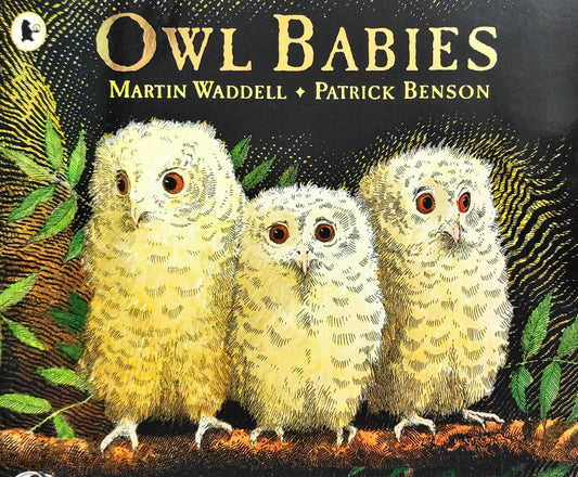 Owl Babies