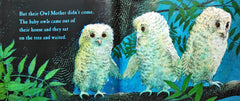 Owl Babies