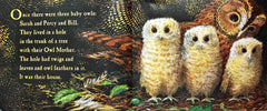 Owl Babies
