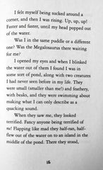 Julia Donaldson The Dianosaur's Diary
