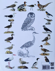 Vintage Bird Colouring Book