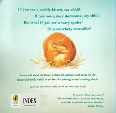 If You See A Kitten