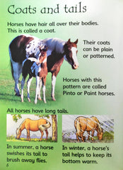 Horses And Ponies (Usborne)