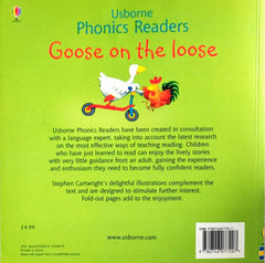 Usborne Phonics Goose On The Loose