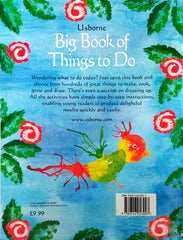 Usborne Big Book Of Thing To Do