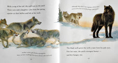Walk With A Wolf