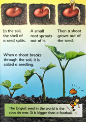Usborne How Flowers Grow
