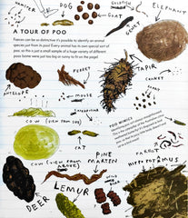 Animals Science Poo