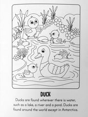 Paint with Water Farm